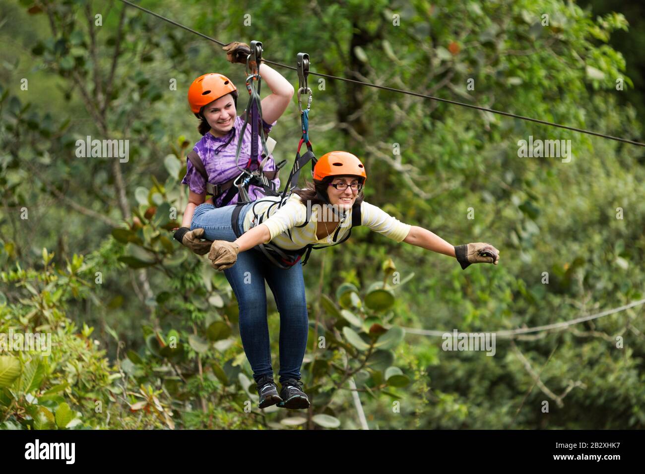 Aventure Ziplin Dans Banos De La Forêt Tropicale Équatorienne Banque D'Images