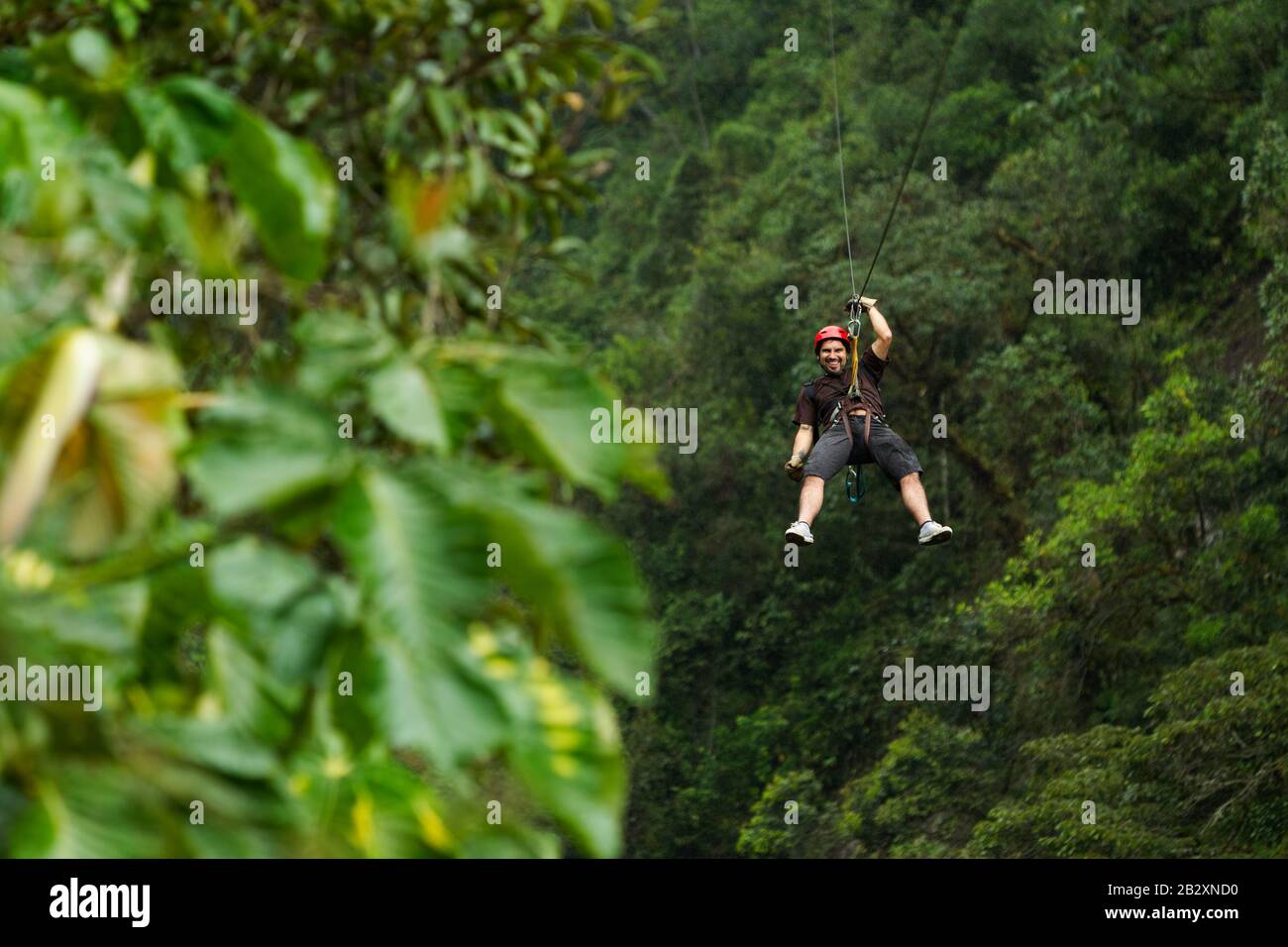 Aventure À Ziplin Homme Adulte Dans La Forêt Tropicale Équatorienne Banque D'Images