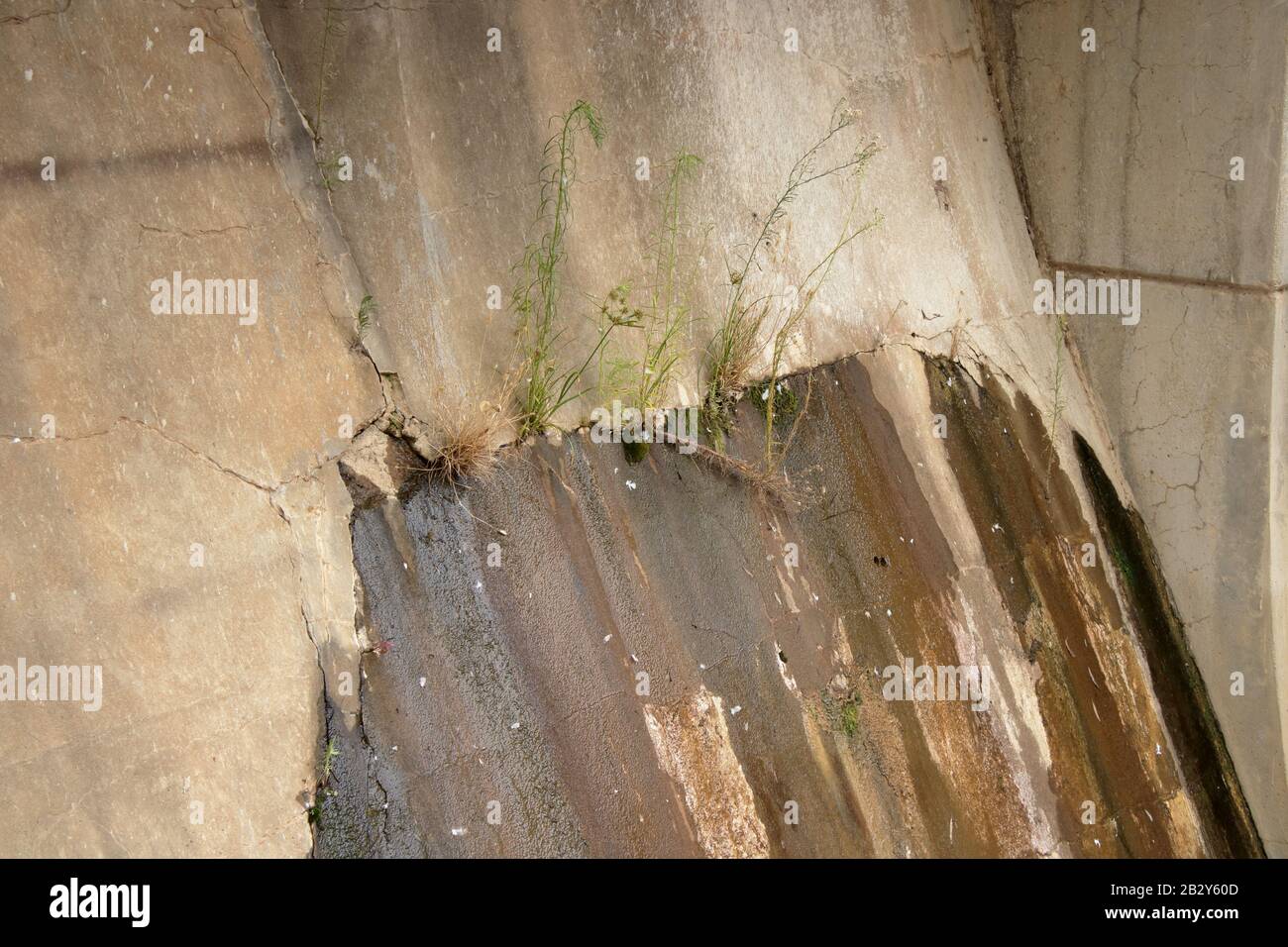 infiltration d'eau à partir de fissures dans la structure murale en béton. Banque D'Images