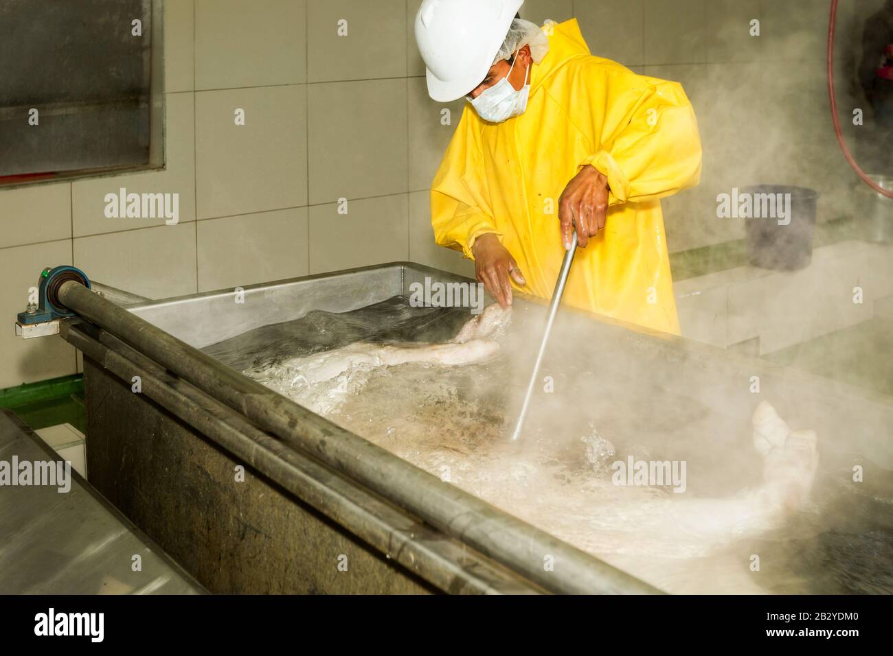 Boucherie Subfusionnant Un Squelette De Brume Dans La Procédure De Bassin De Brûlure Qui Aide À Faciliter La Réinstallation Des Cheveux Banque D'Images