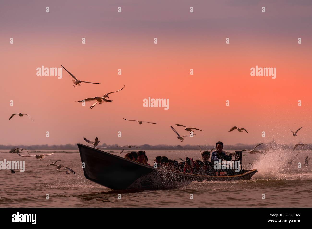 Inle Lake, Myanmar - février 2020: Bateau à queue longue avec les Intha locales suivies d'un troupeau de goélands. Scène idyllique, bateau rapide contre Banque D'Images