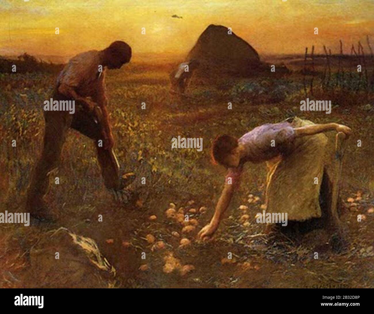 George Clausen - champ de patoes. Banque D'Images