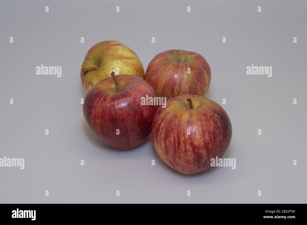 Apple un des fruits importants et bénéfiques pour la nourriture humaine. C'est un fruit du pommier et est l'un des plus cultivés au monde. Banque D'Images