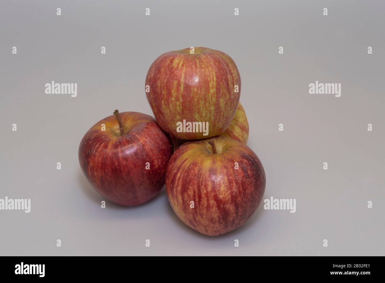 Apple un des fruits importants et bénéfiques pour la nourriture humaine. C'est un fruit du pommier et est l'un des plus cultivés au monde. Banque D'Images
