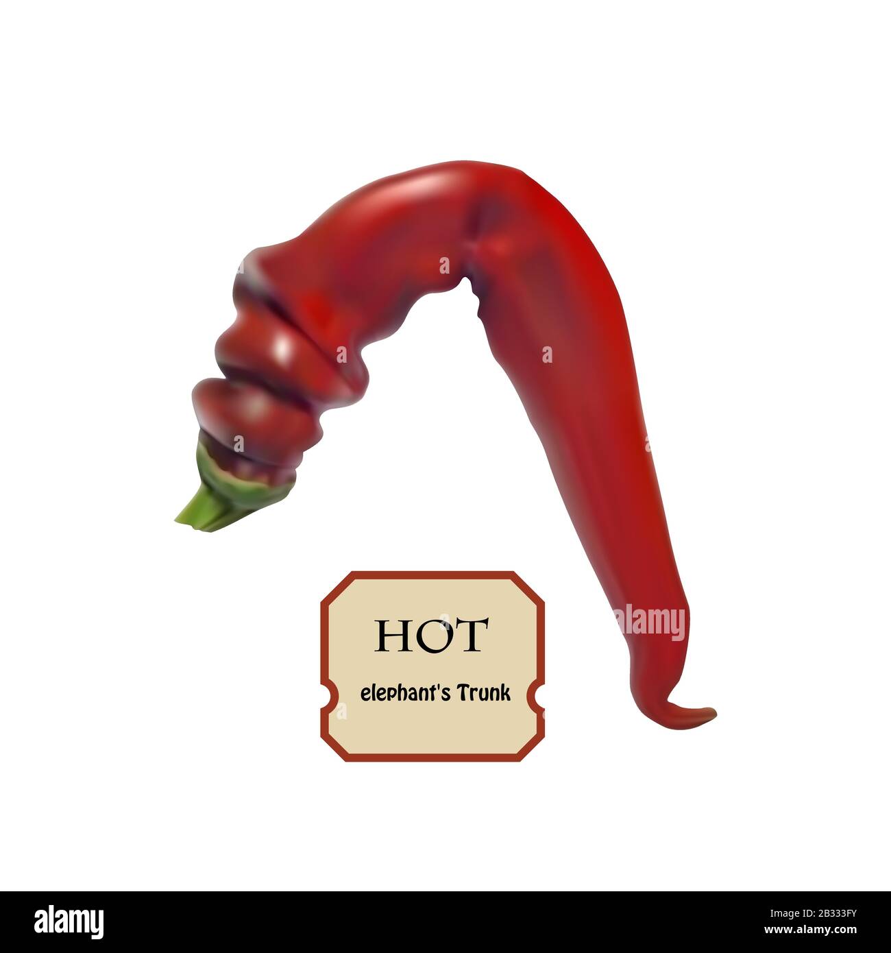 Fruits exotiques du tronc de l'éléphant, piments épicés au goût brûlant. Gros plan de poivron rouge tropical chaud sur fond blanc. Illustration de Vecteur