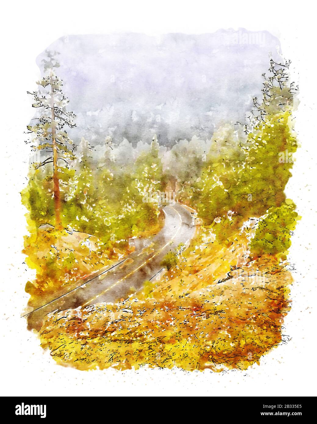Dans la nature Banque D'Images