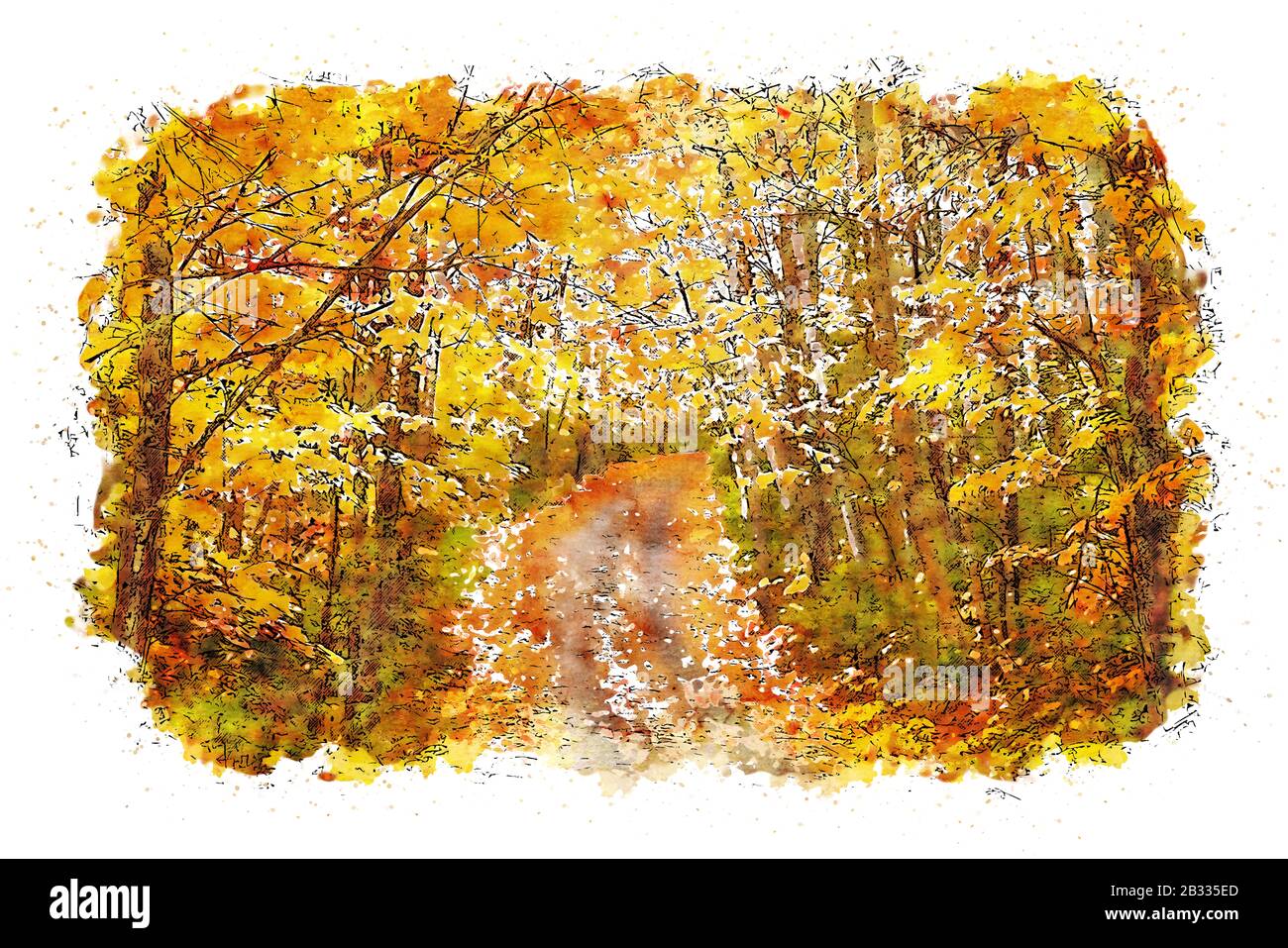Dans la nature Banque D'Images