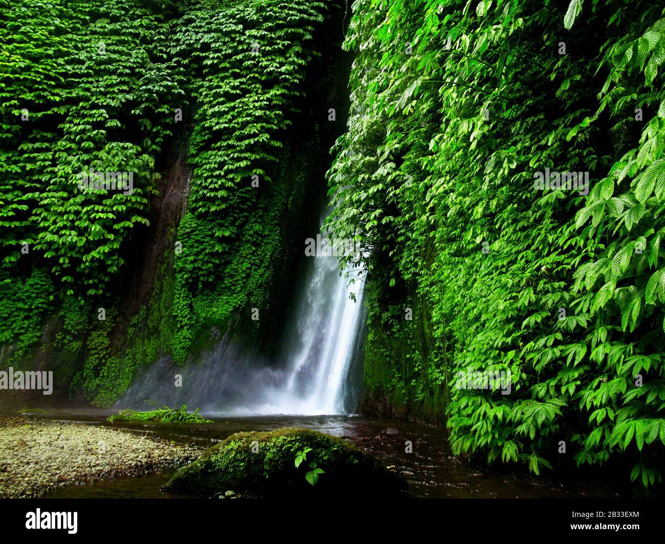 chute d'eau munduk au milieu de la forêt tropicale de bali-indonésie Banque D'Images