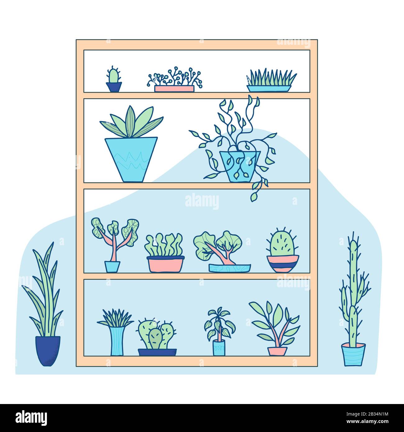 Etagère avec plantes intérieures. Ensemble de plantes de maison en pot. Collection de plantes ménagères dessinées à la main. Illustration du dessin vectoriel. Illustration de Vecteur