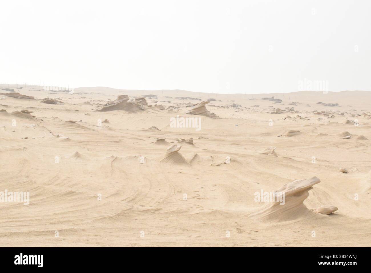 Dunes fossiles à Abu Dhabi.Emirats Arabes Unis. Banque D'Images