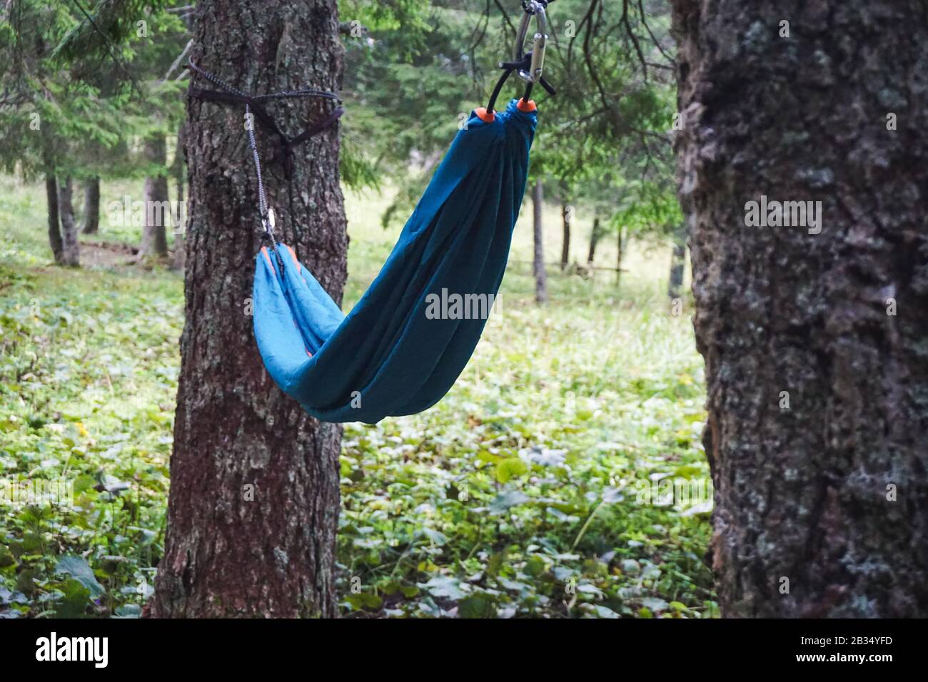 Gros plan d'un hamac attaché entre deux arbres dans un terrain de camping  par temps frais Photo Stock - Alamy