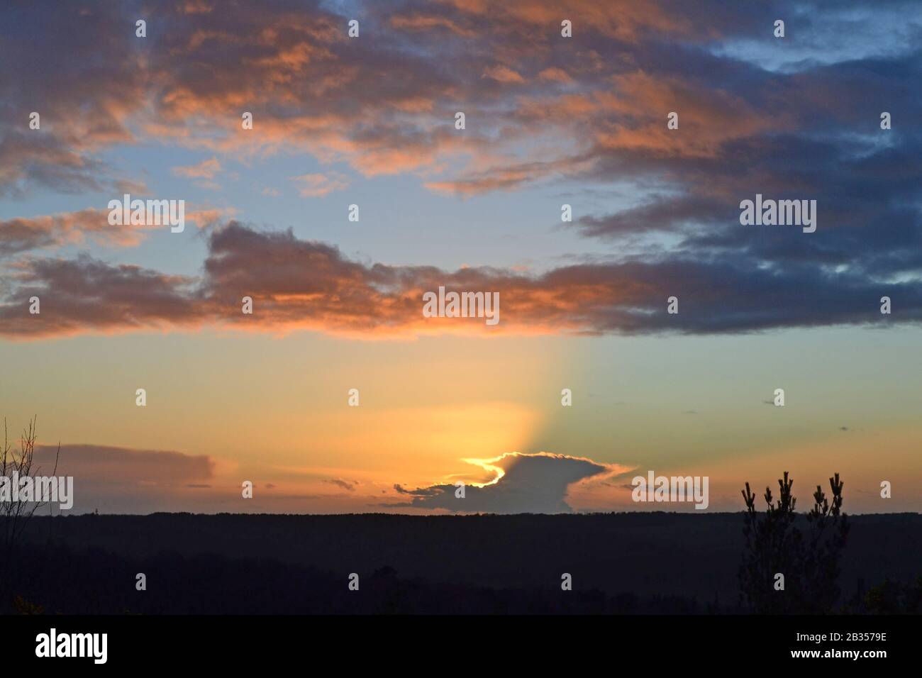 Coucher de soleil et nuage enclume de Branchies Lap, Ashdown Forest, début mars Banque D'Images