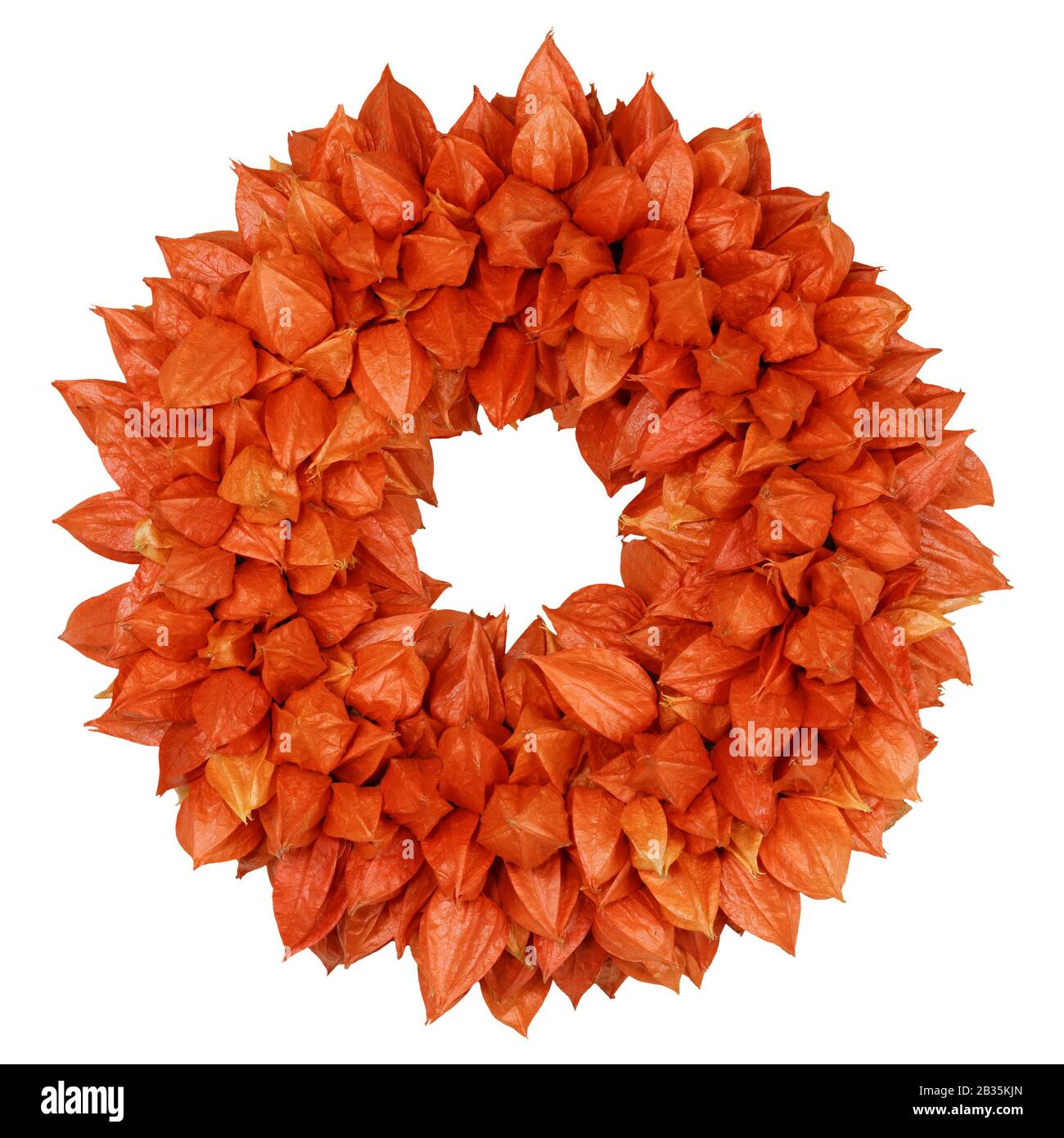 Couronne d'automne avec Physalis (Physalis alkekengi) sur blanc Banque D'Images
