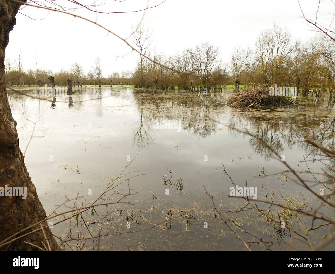 Bessines dans le Marais poitevin, Bad wheather, vent fort , les Sèvres Niortaise et le Département des deux Sèvres ont été mis en alerte jaune Banque D'Images