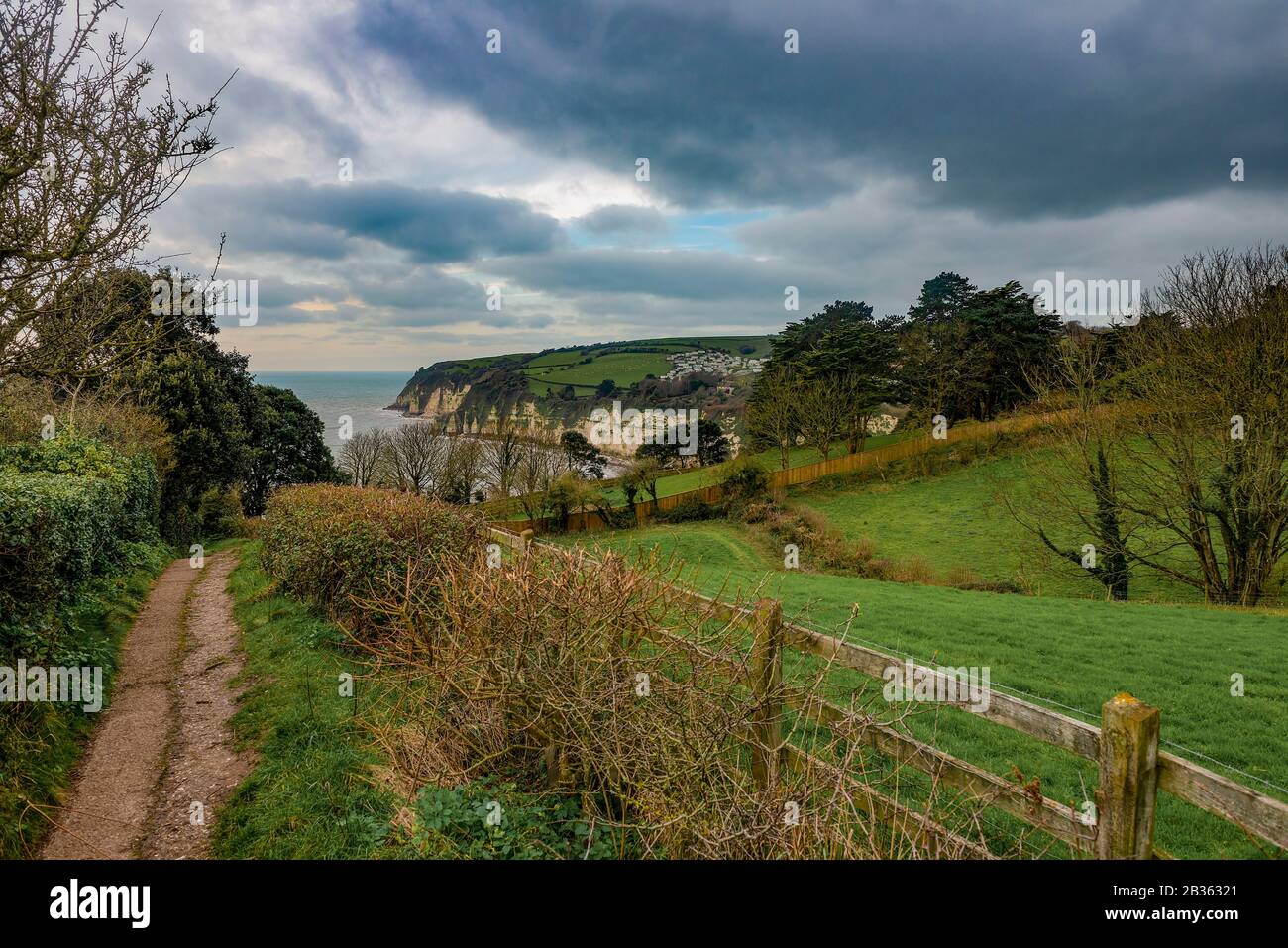 Sentier côtier sud-ouest et falaises de craie à Beer, Devon, Angleterre, Royaume-Uni Banque D'Images