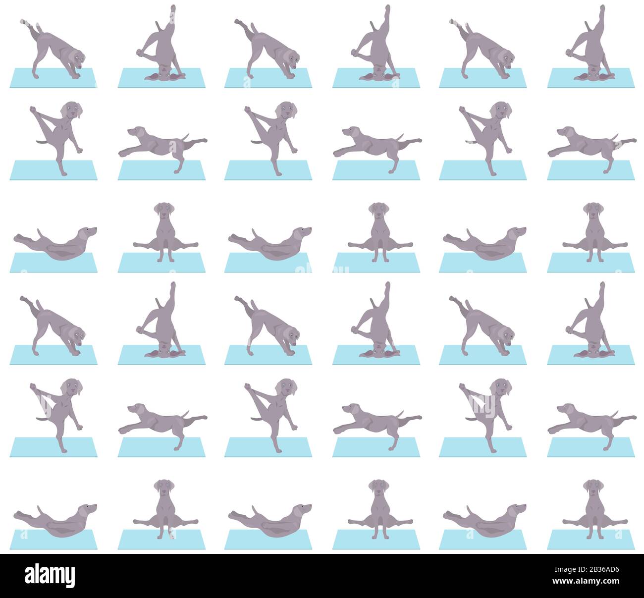 Les chiens de yoga poses et exercices sans couture motif. Clipart de Weimaraner. Illustration vectorielle Illustration de Vecteur