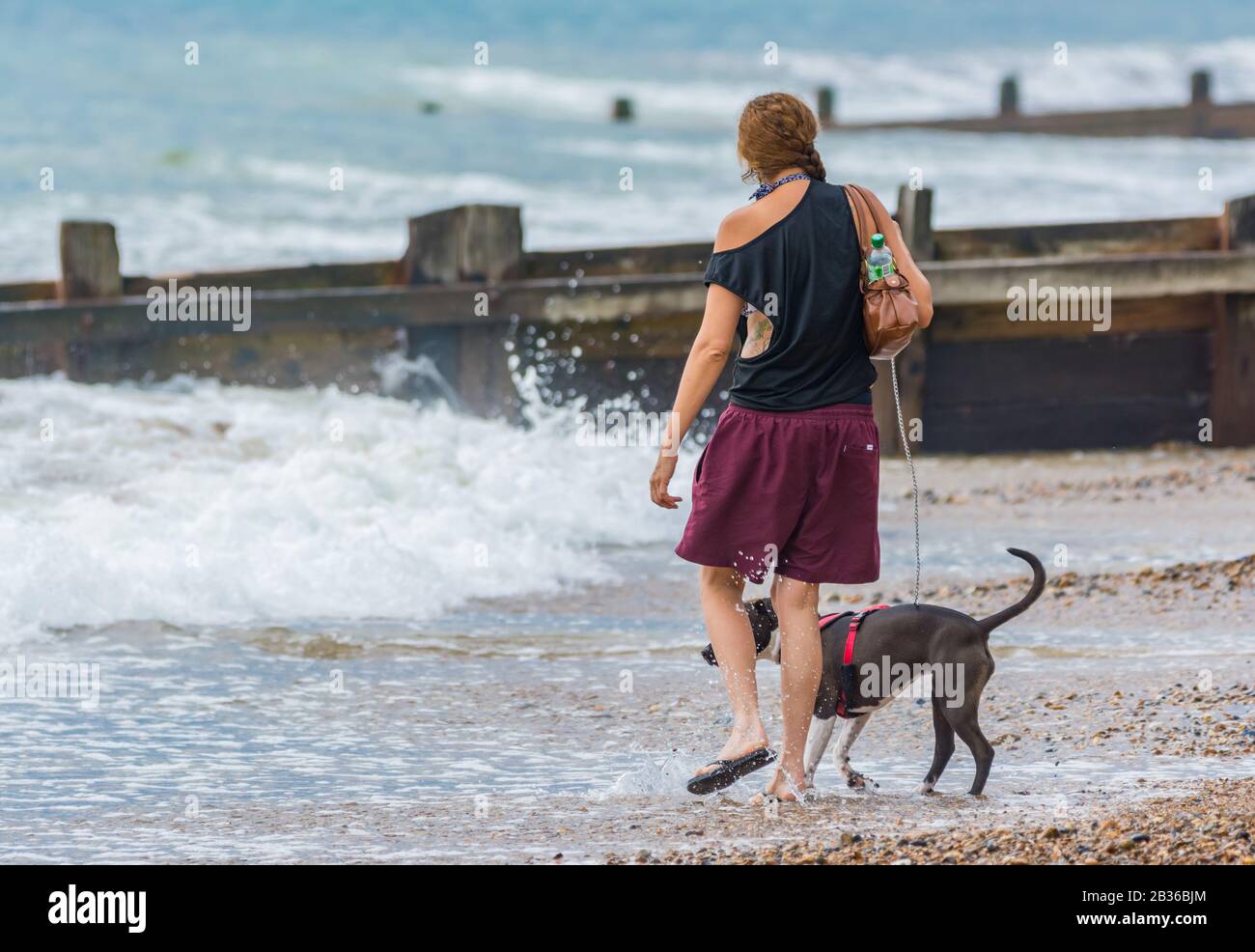 Jeune femme marchant un chien le long de la plage tout en s'y rembourrage. Banque D'Images