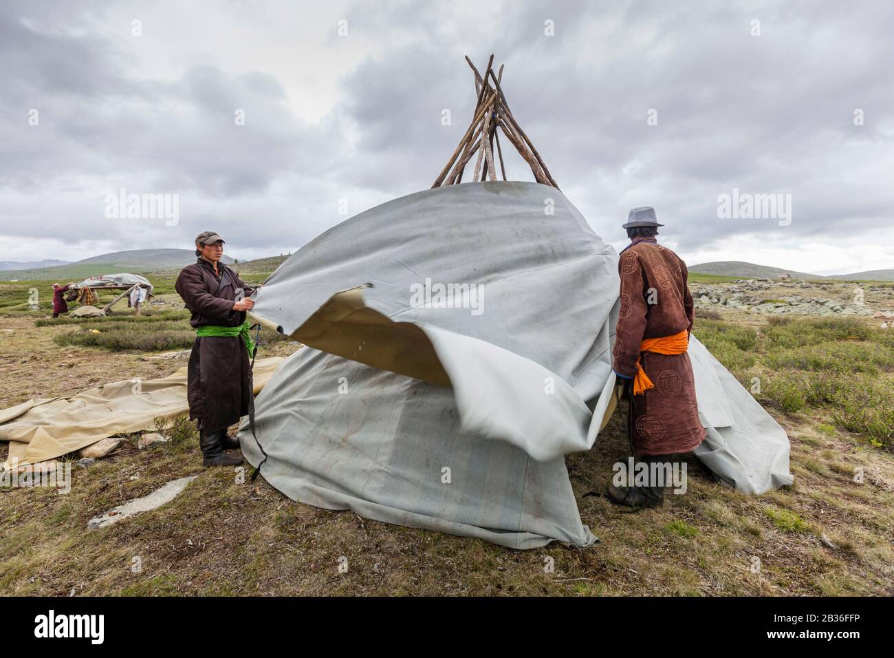 Mongolie, province de Khovsgol, près de Tsagauannur, taïga de l'Ouest, camp de Tsaatan, construction d'une tente traditionnelle, altitude 2203 mètres Banque D'Images