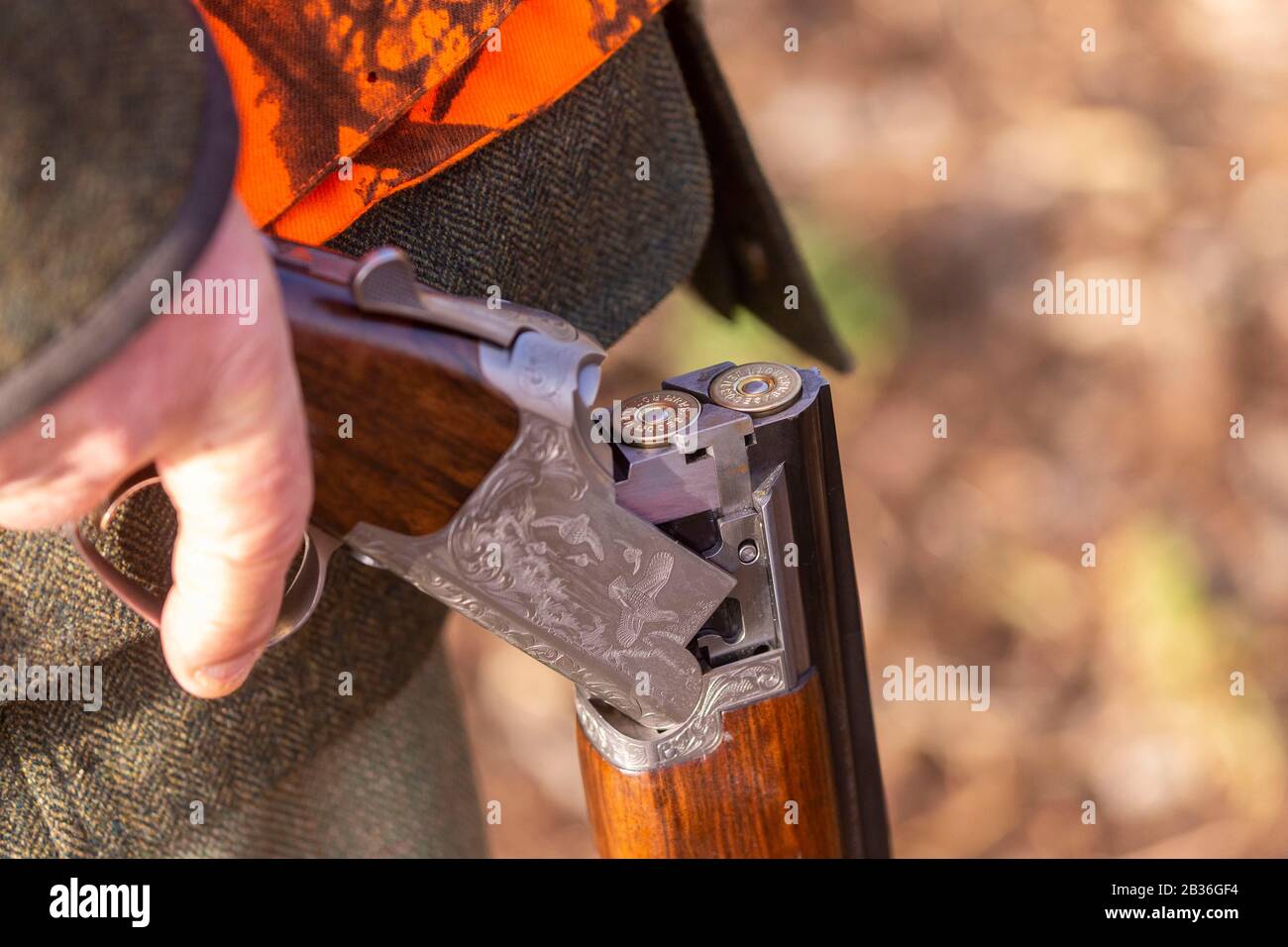 France, Alsace, forêt du Rhin, chasse au petit gibier, charge avec cartouche Banque D'Images