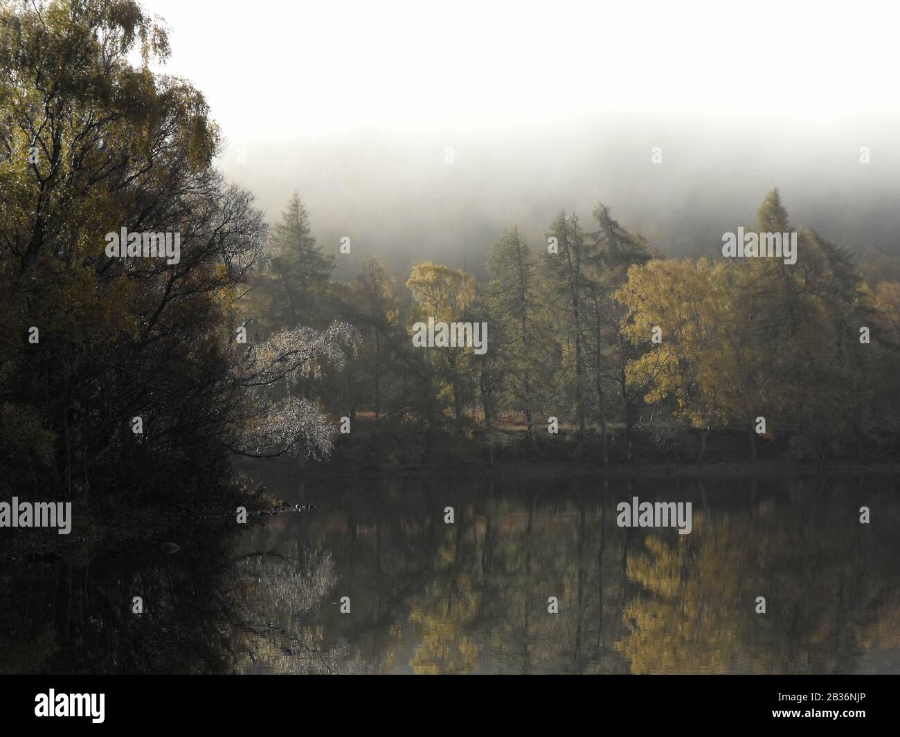 Magnifique matin misty en automne. Loch Achilty. Ecosse Banque D'Images