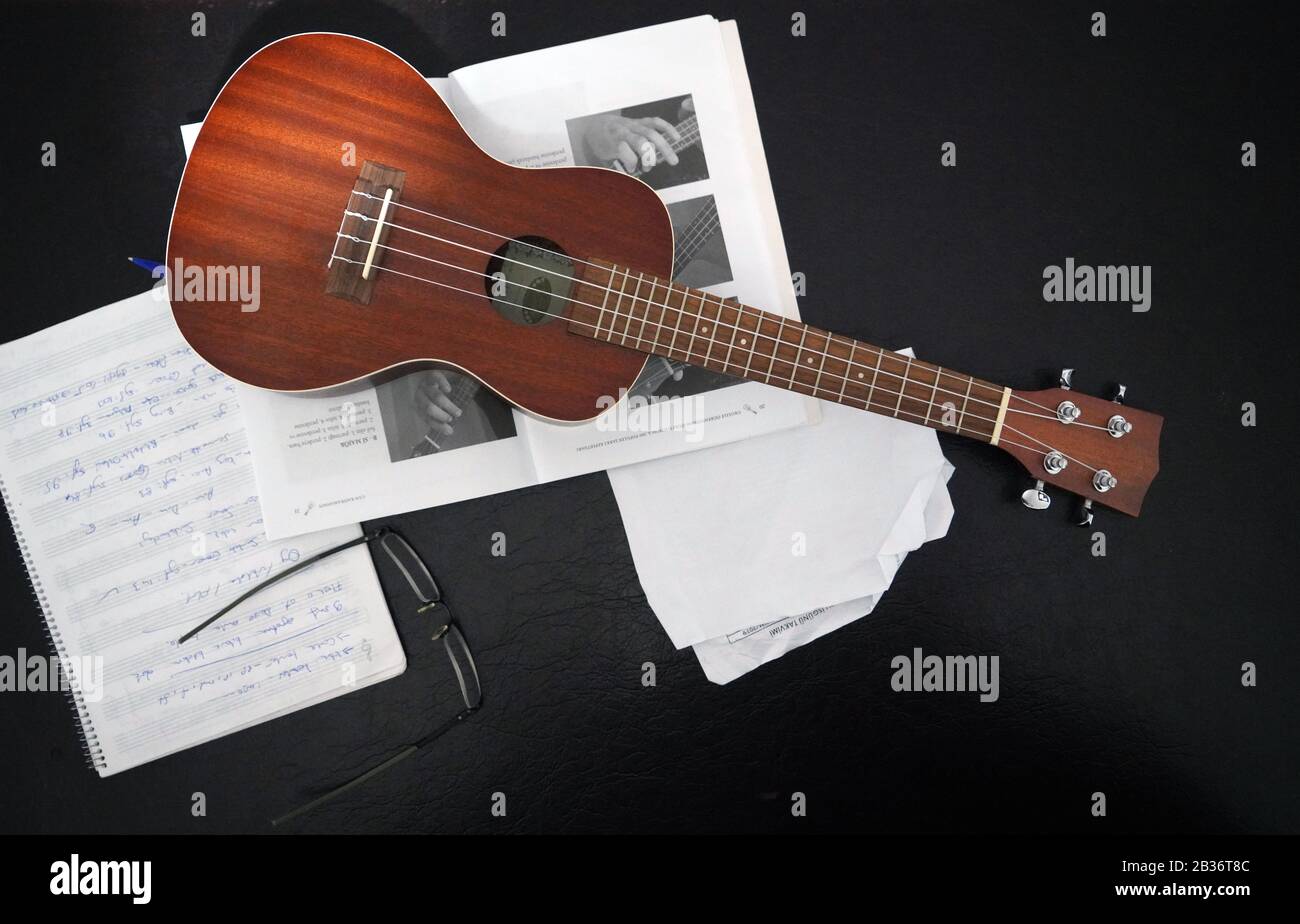 Note musicale, lunettes et ukulele sur fond noir Banque D'Images