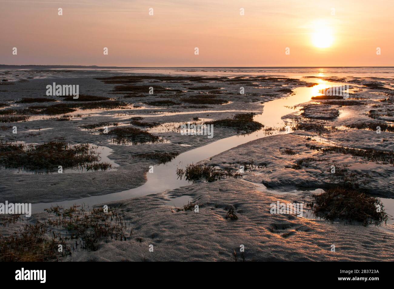 La France, la somme (80), la Baie de somme, le Crotoy, le coucher de soleil, le pacage met en évidence les reliefs du sol de la baie découverts par la marée basse Banque D'Images