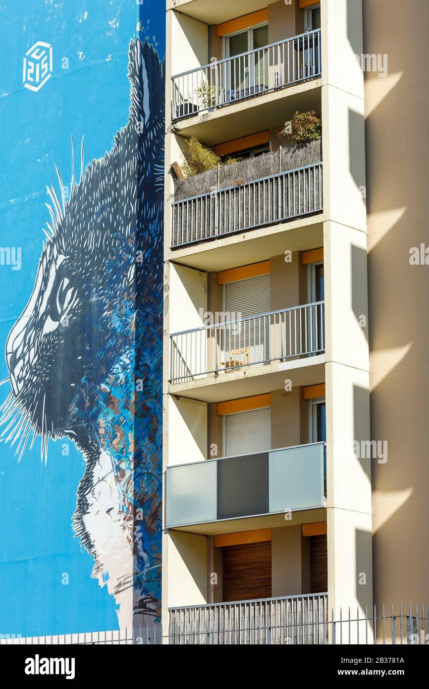 France, Paris, murale sur la façade d'un immeuble d'appartements appelé le Chat (le chat) situé sur le boulevard Vincent Auriol par le C215 Banque D'Images