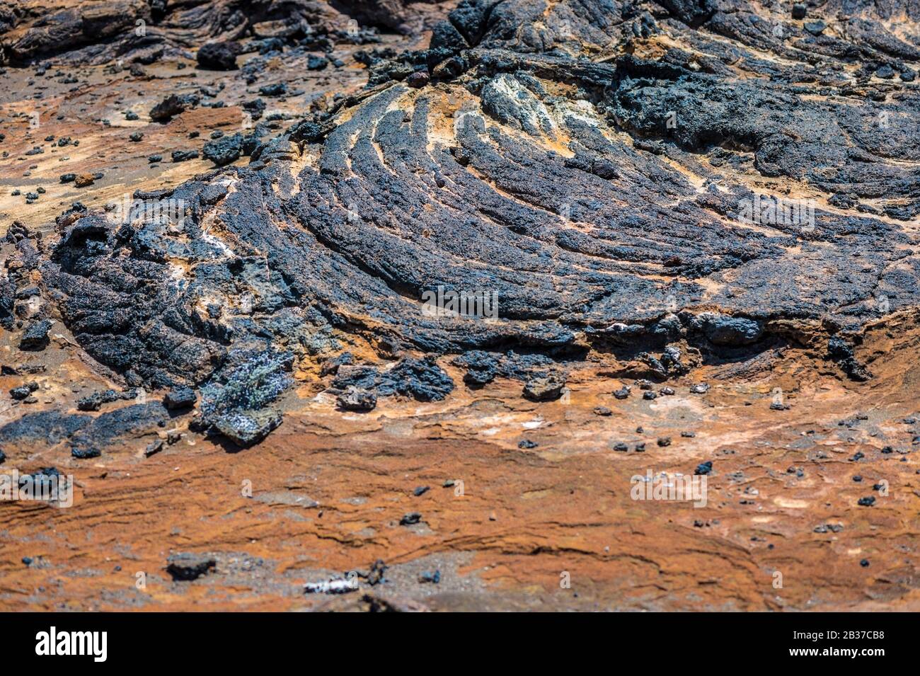 Équateur, archipel de Galápagos, classé au patrimoine mondial par l'UNESCO, île Bartolomé, paysage volcanique, ici un détail de p&#x101;hoehoe LAVA (terme hawaïen signifiant &#x201;rivière de satin&#x201-d; en raison des couleurs vives fréquemment prises lorsqu'il est refroidi) ou de lave filaire Banque D'Images