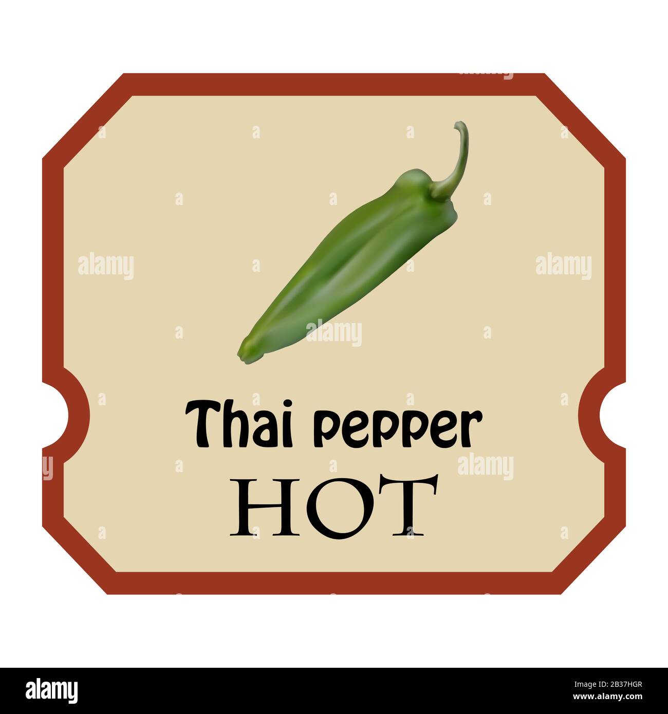 Fruits exotiques au poivre thaïlandais, poivrons épicés au goût brûlant. Gros plan du piment vert chaud tropical sur fond blanc. Illustration de Vecteur