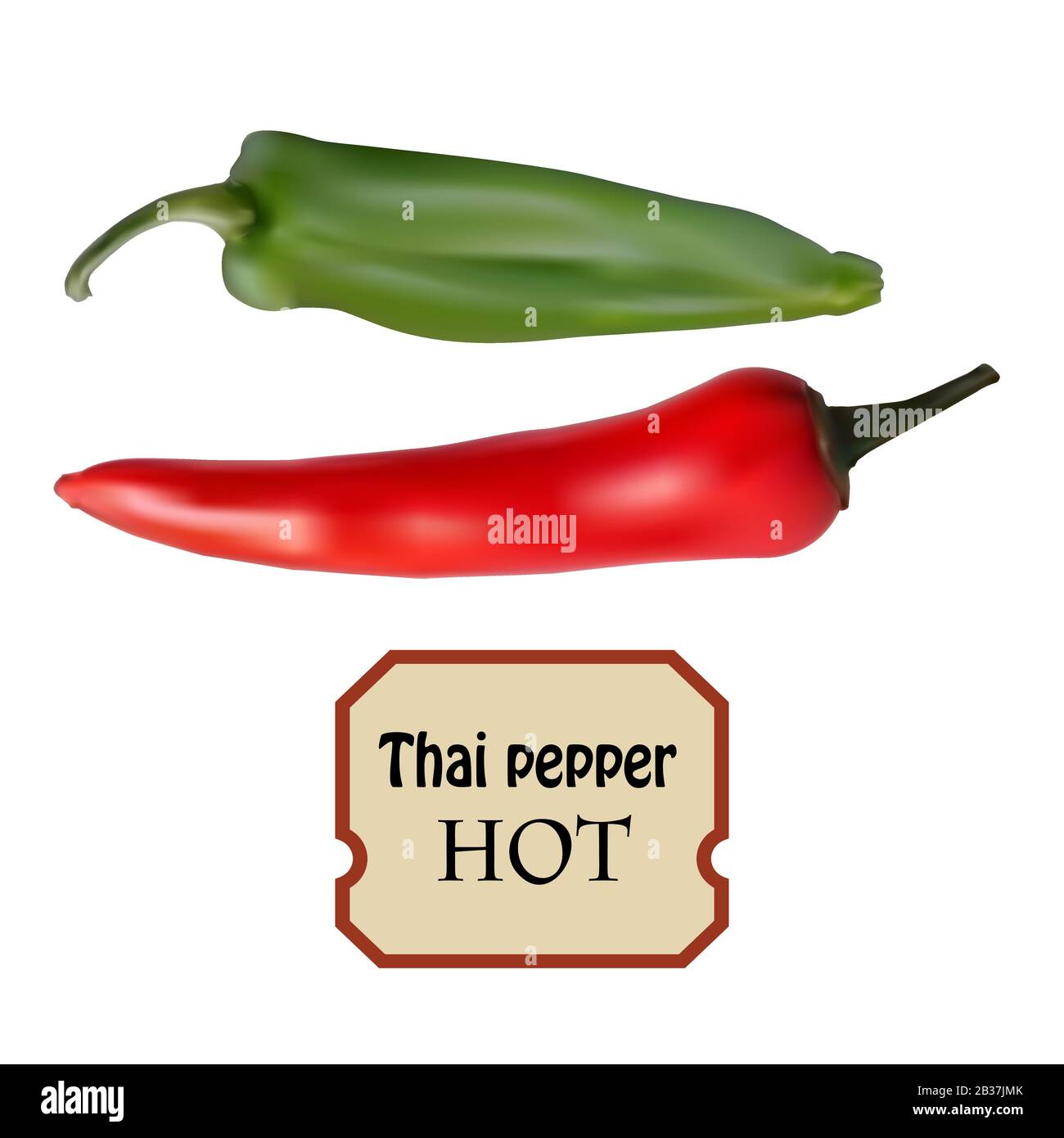 Fruits exotiques au poivre thaïlandais, poivrons épicés au goût brûlant. Gros plan du piment vert chaud tropical sur fond blanc. Illustration de Vecteur