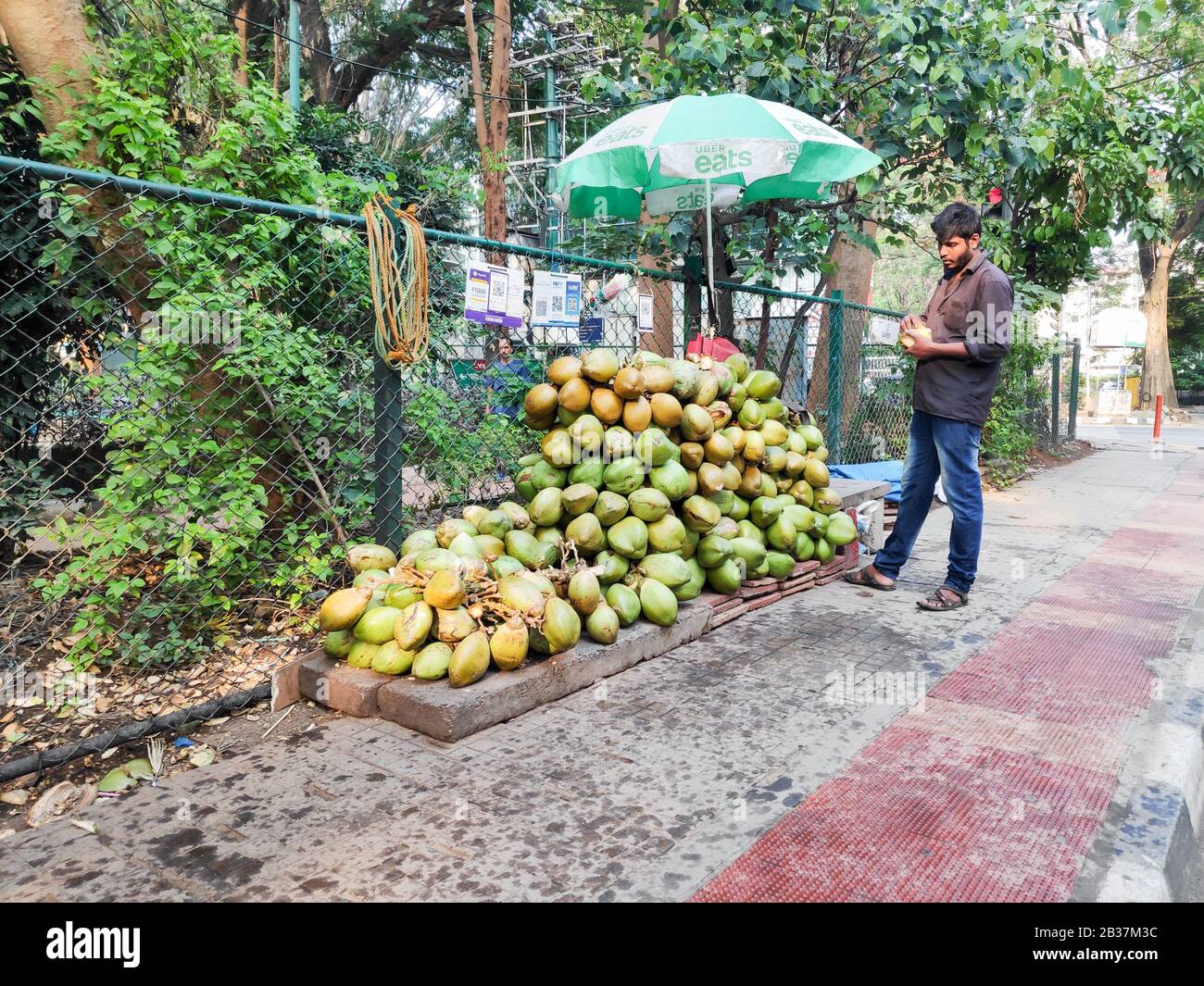 Bangalore, Inde - 17 mai 2019 - un vendeur de rue vendant des noix de coco fraîches à Bangalore, Inde. Banque D'Images