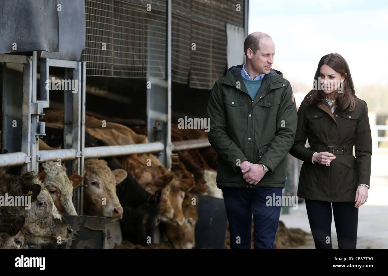 Dublin, Irlande. 4 mars 2020. Visite royale en Irlande par le duc et la duchesse de Cambridge. Photo du couple royal britannique Prince William et Kate Middleton à côté du bétail dans une ferme Teasgasc à Co Kildare lors de leur première visite officielle en Irlande. Photo: SAM Boal/RollingNews.ie crédit: RollingNews.ie/Alay Live News Banque D'Images