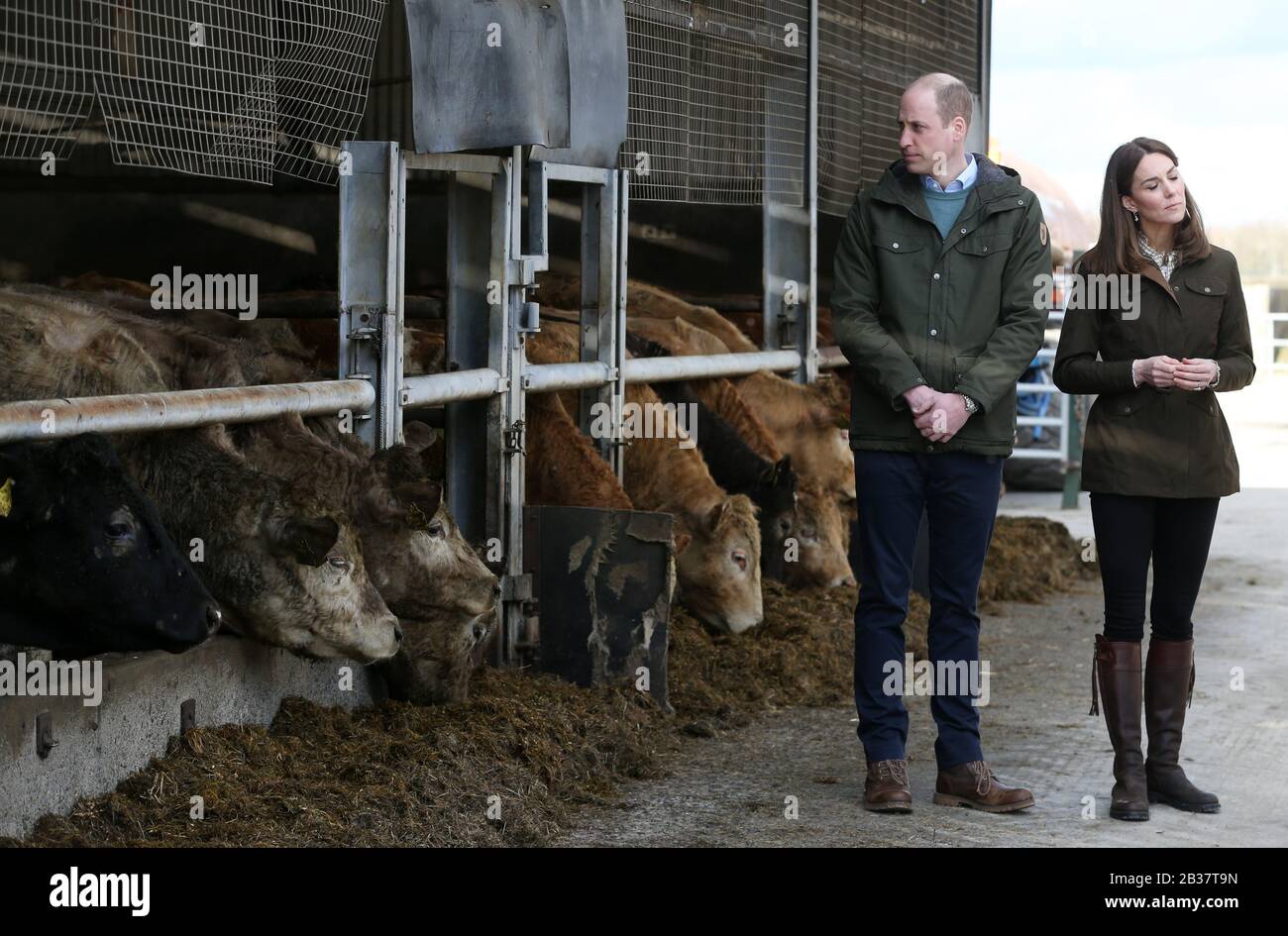 Dublin, Irlande. 4 mars 2020. Visite royale en Irlande par le duc et la duchesse de Cambridge. Photo du couple royal britannique Prince William et Kate Middleton à côté du bétail dans une ferme Teasgasc à Co Kildare lors de leur première visite officielle en Irlande. Photo: SAM Boal/RollingNews.ie crédit: RollingNews.ie/Alay Live News Banque D'Images