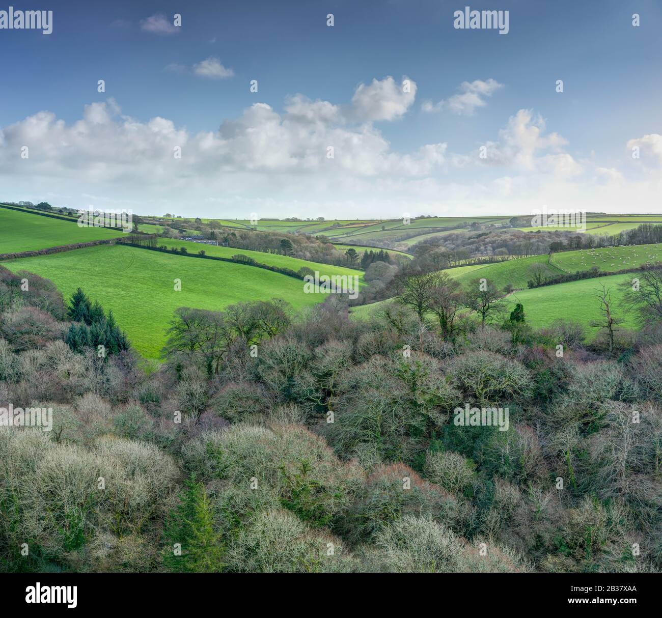 Une vue sur les oiseaux d'un splendide Cornish boisé vally, des terres agricoles en roulement en arrière-plan. Les pâturages verts Sunkist et le ciel bleu soulèvent cette image d'hiver. Banque D'Images