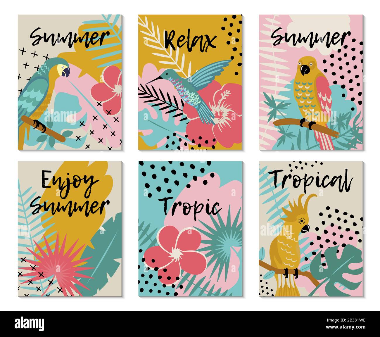 ensemble vectoriel d'oiseaux tropicaux et de fleurs tropicales Illustration de Vecteur