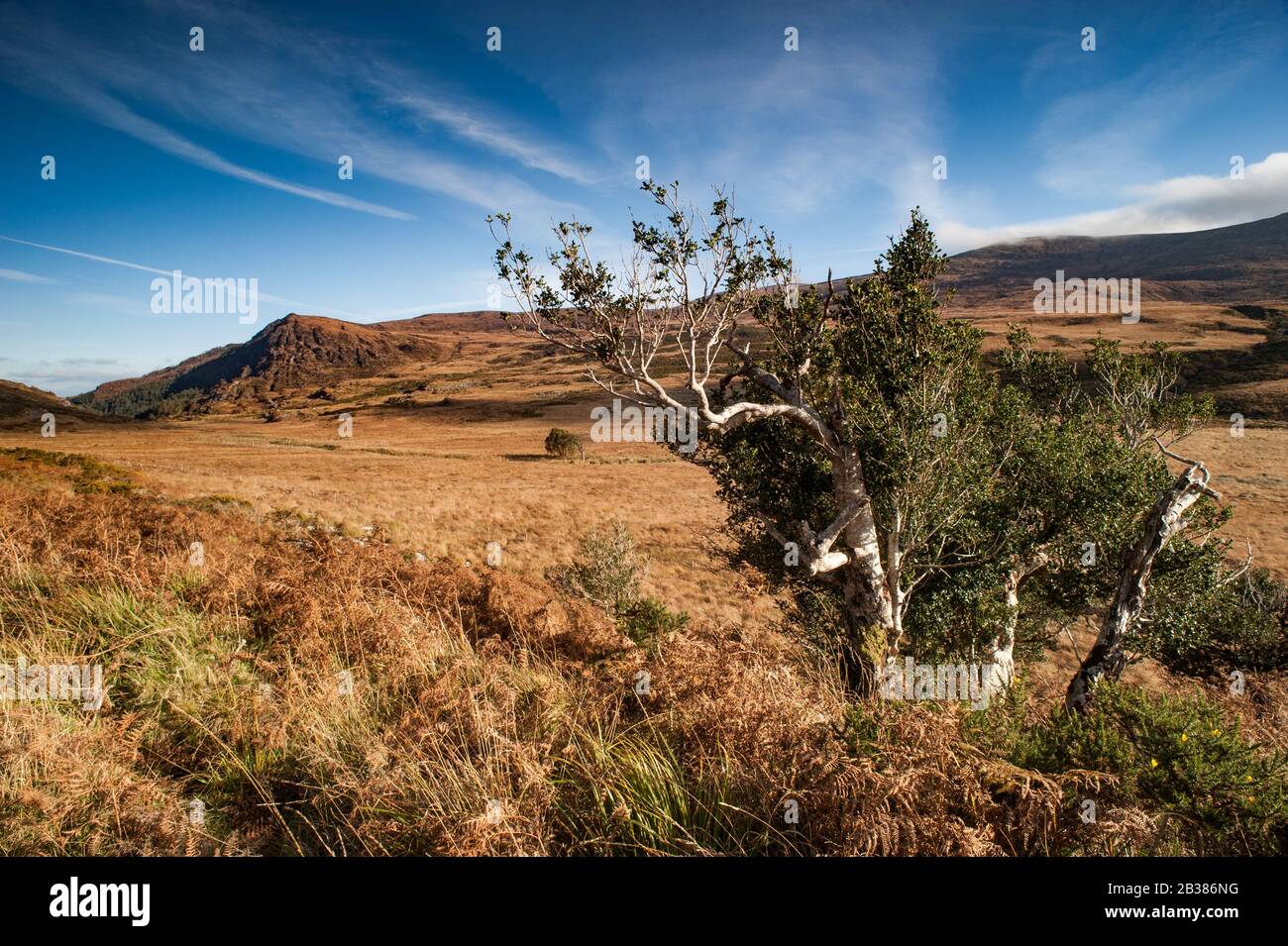 Paysage accidenté pittoresque du parc national de Killarney Banque D'Images