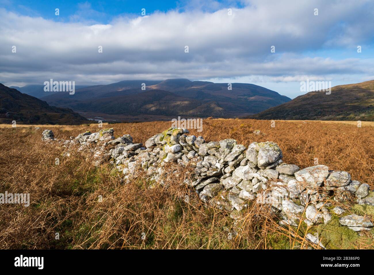 Vieux mur de pierre à travers le paysage pittoresque du parc national de Killarney Banque D'Images