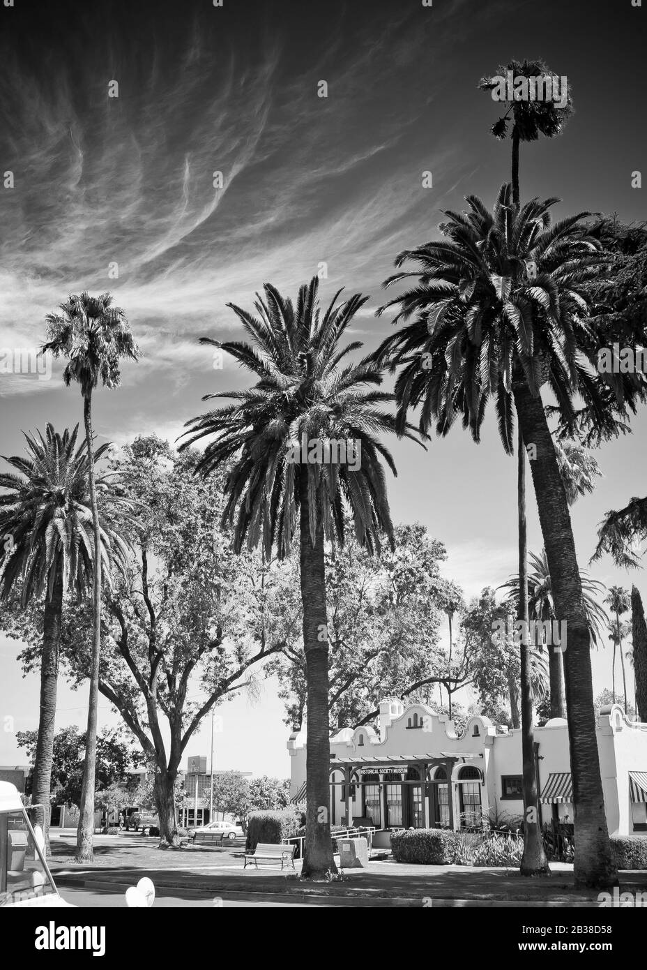 Image en noir et blanc des palmiers dans la ville endormie de Patterson, Californie, États-Unis Banque D'Images