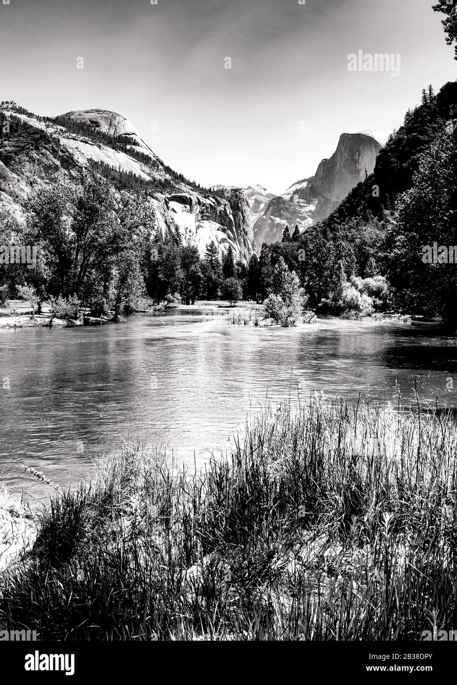 Image en noir et blanc de la vallée en forme de U et du demi-dôme du parc Yosemite avec rivière qui traverse la vallée Banque D'Images