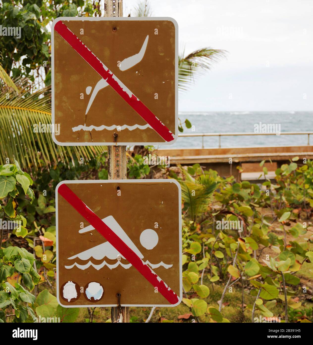 Pas de mots nécessaires sur un pas de natation et pas de signe de plongée situé à l'océan à Porto Rico Banque D'Images