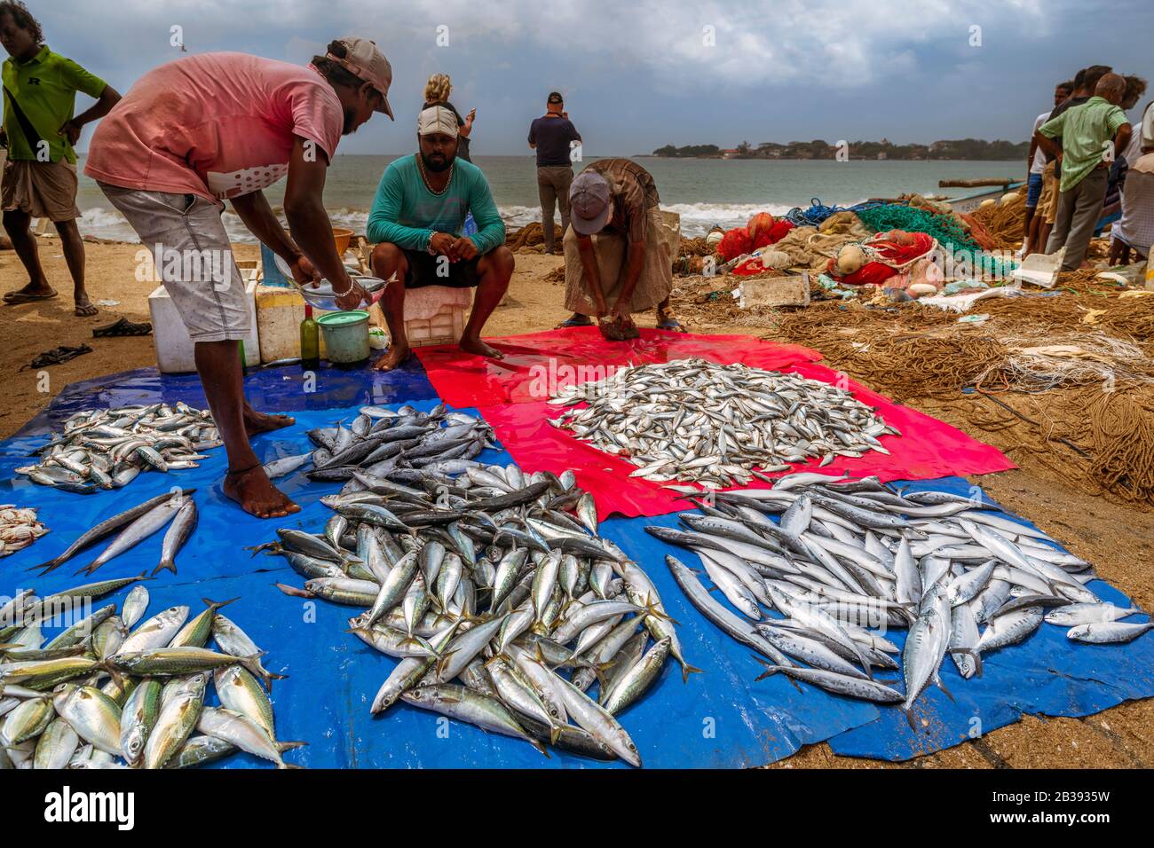 Un vendeur de poisson arrose de l'eau sur les captures pour l'empêcher de sécher à la chaleur au marché de poissons de Galle près de la ville de Galle au Sri Lanka. Banque D'Images