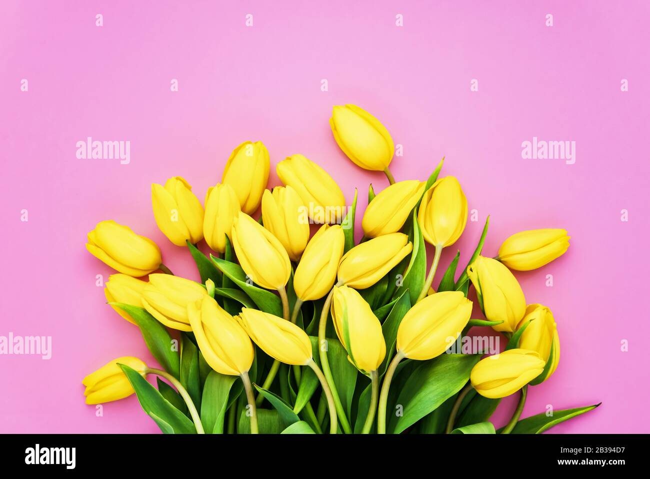 Bouquet de tulipes jaunes sur fond rose. Couche plate, vue supérieure, espace de copie. Arrière-plan de Valentines. Banque D'Images