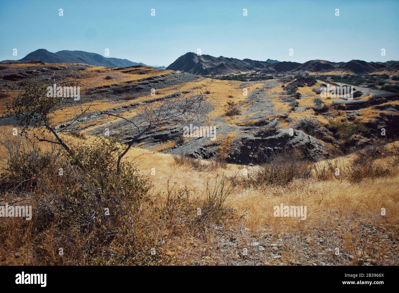 J'aime voyager à la photographie de paysage Nord Aria Banque D'Images