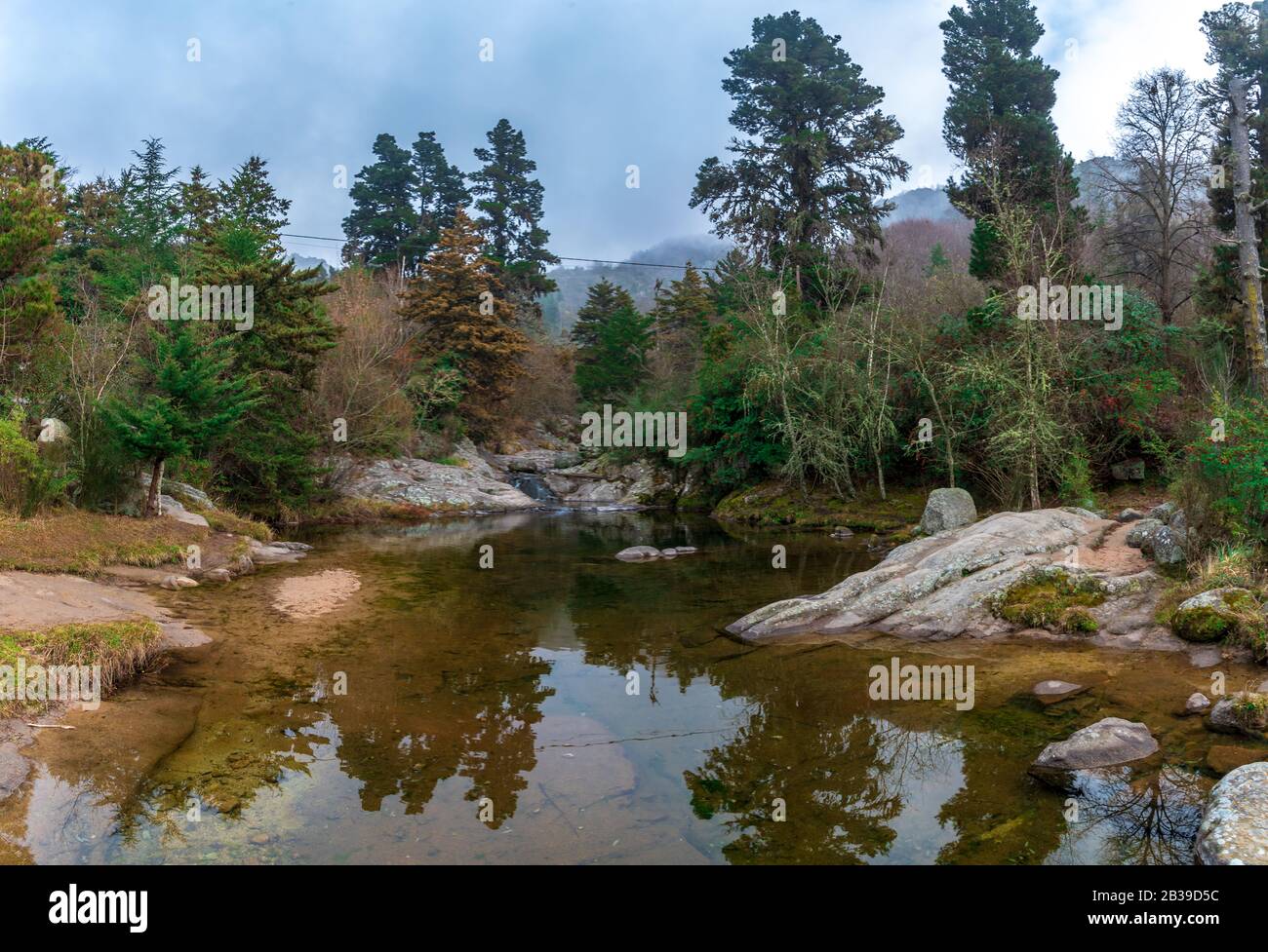 Vue panoramique sur un petit lac en bas d'une vallée, avec une montagne pleine d'arbres à l'arrière Banque D'Images