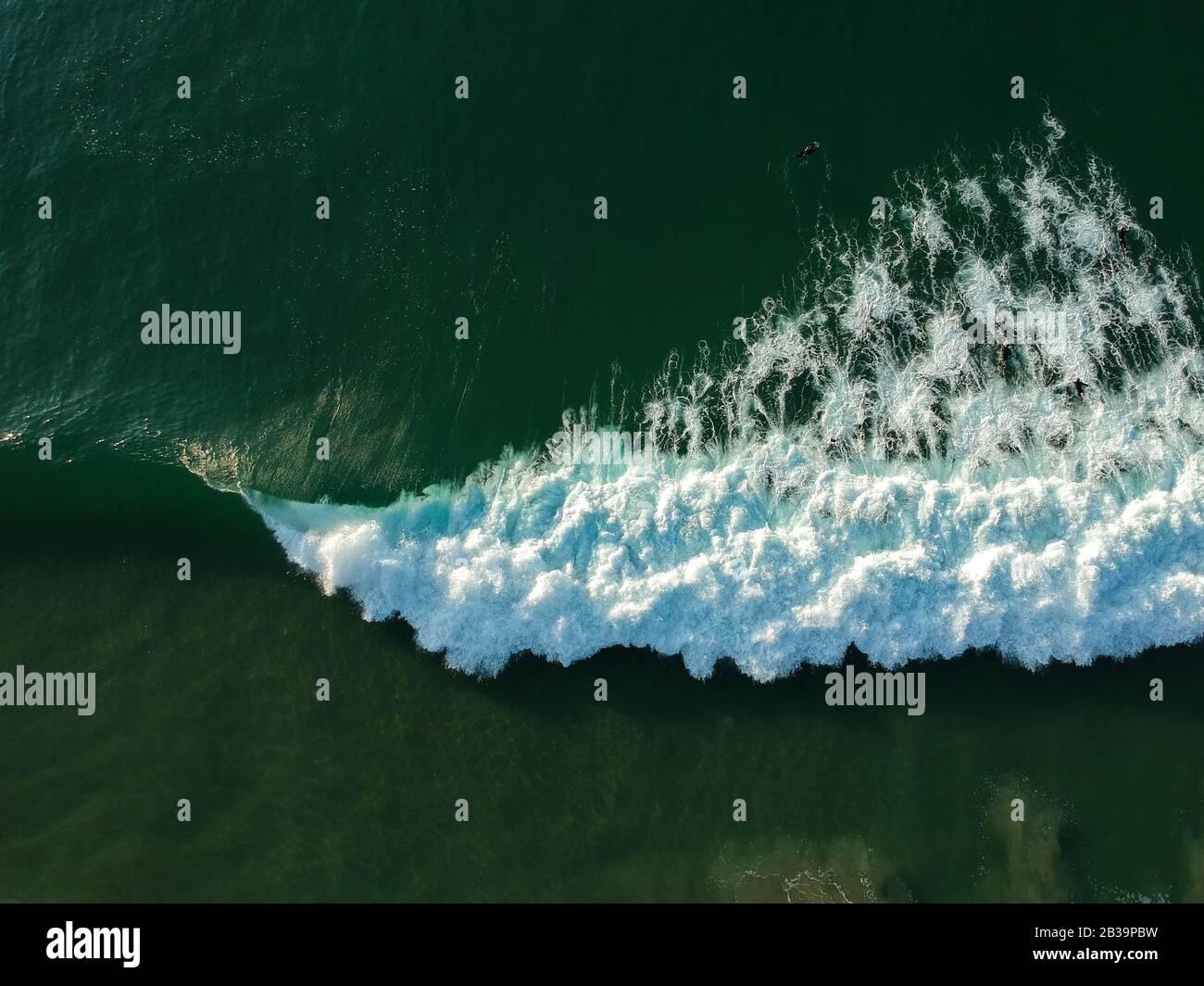 Vue aérienne sur les surfeurs et grande vague dans l'océan. Vue de dessus Banque D'Images