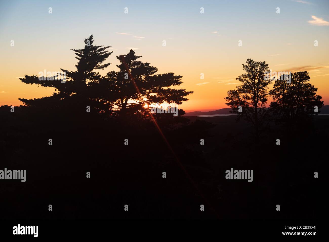 Coucher de soleil avec des ombres d'arbres à l'heure d'or Banque D'Images