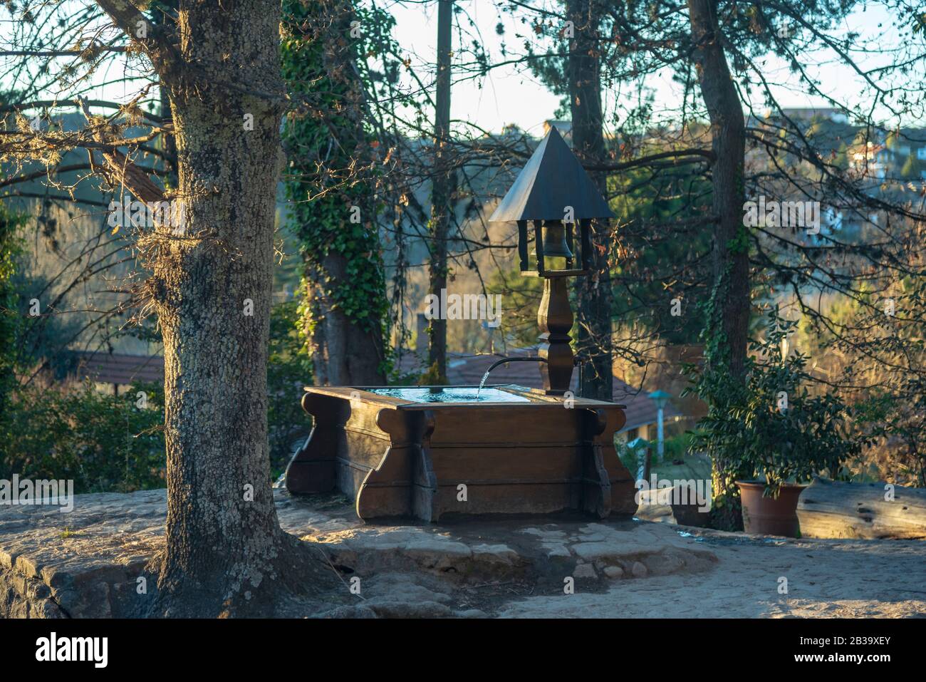 Une fontaine en bois avec un clocher, entourée d'une petite bosquet Banque D'Images