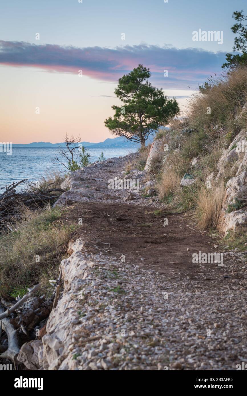 Beau chemin, parc Osejava, Makarska, Croatie Banque D'Images