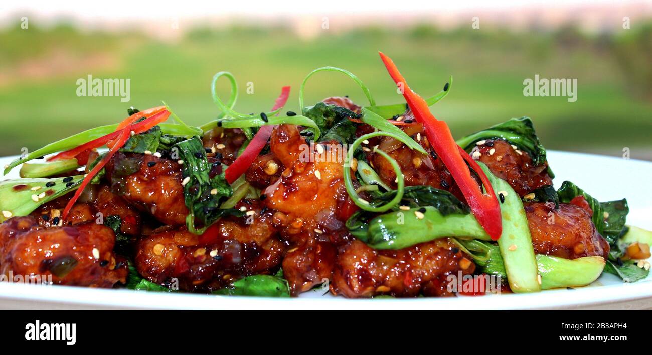 Poulet Chili chinois en gros plan Banque D'Images