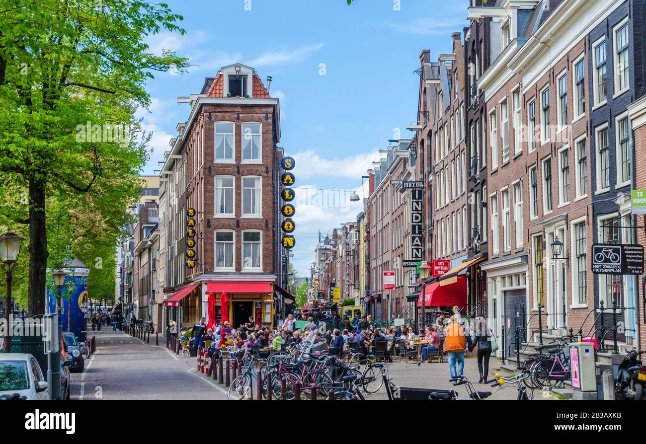 Beaux trottoirs à Amsterdam plein d'arbres Pays-Bas Banque D'Images